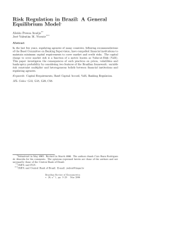 Risk Regulation in Brazil: A General Equilibrium Model*