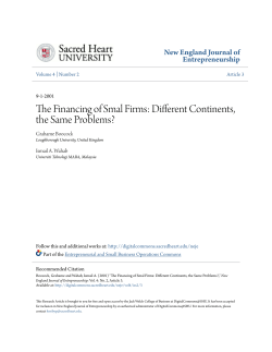 The Financing of Smal Firms: Different Continents, the Same