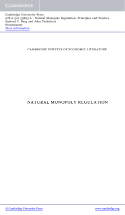 Natural monopoly regulation: Principles and practice