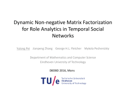 Dynamic Non-negative Matrix Factorization for Role Analytics in