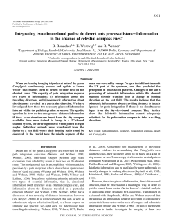 do desert ants process distance information in the absence of