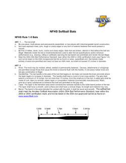 NFHS Softball Bats