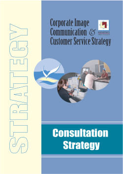 Consultation Strategy - Corporate Image
