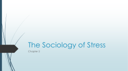The Sociology of Stress