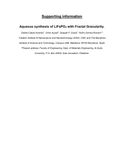 Supplementary Information