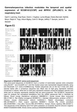 Supplementary Information (ppt 298K)