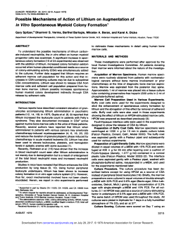 Possible Mechanisms of Action of Lithium on