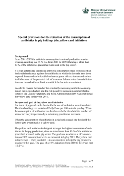 the yellow card initiative