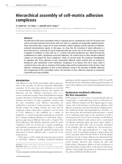 Hierarchical assembly of cell&ndash;matrix adhesion complexes