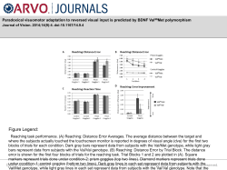 Slide - Journal of Vision