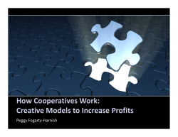 How Cooperatives Work: Creative Models to Increase Profits