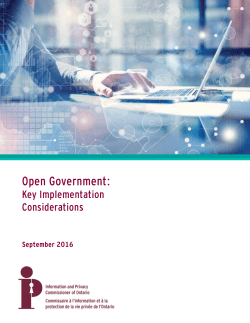 Open Government: Key Implementation Considerations