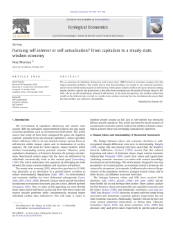Pursuing self-interest or self-actualization? From capitalism to a