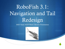 RoboFish 3.1: Navigation and Tail Redesign