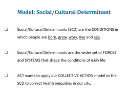 Model: Social/Cultural Determinant