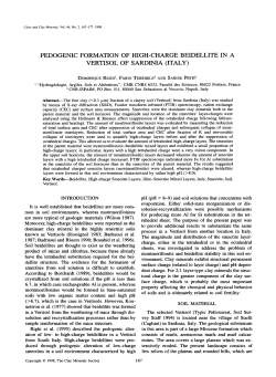 pedogenic formation of high-charge beidellite in a vertisol of sardinia