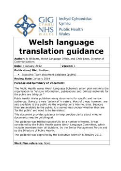 13-04b Welsh language translation guidance 060112 v1