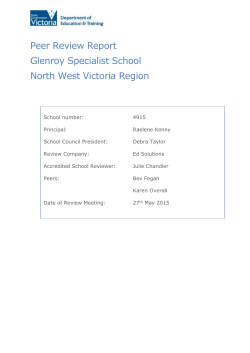 Peer Review Report template V2