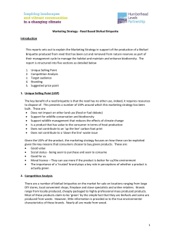 1 Marketing Strategy - Reed Based Biofuel