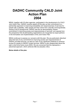 DADHC Community CALD Joint Action Plan