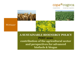 Title of presentation Second line presentation title - Copa