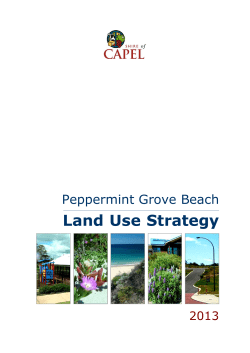 Land Use Strategy