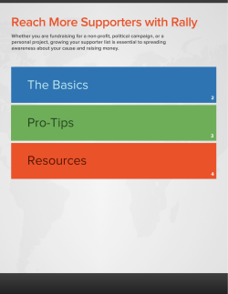 Reach More Supporters with Rally The Basics Pro-Tips