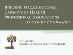 Org Capacity Building Workshop NESOG