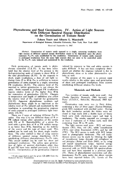 Phytochrome and Seed Germination. IV. Action of