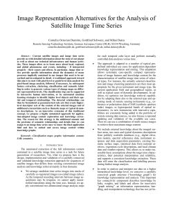 Image Representation Alternatives for the Analysis