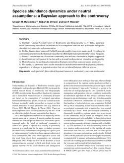 Species abundance dynamics under neutral assumptions: a