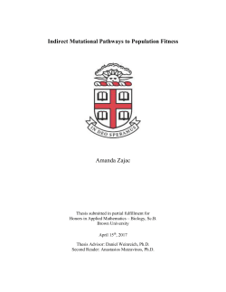 Indirect Mutational Pathways to Population Fitness