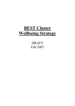 best cluster wellbeing strategy