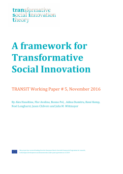 A framework for Transformative Social Innovation