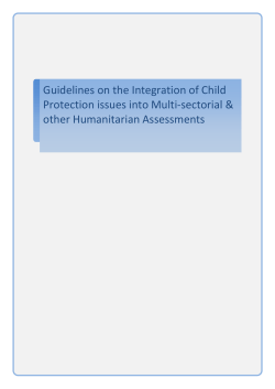 Guidelines on the Integration of Child Protection issues into Multi