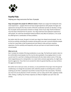 Fearful Fido - West Side Pet Clinic