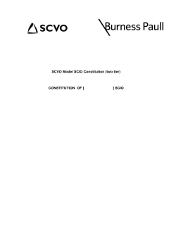 SCVO Model SCIO Constitution (two tier)