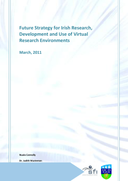 Future Strategy for Irish Research, Development and Use of Virtual