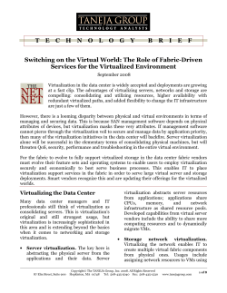 Switching on the Virtual World: The Role of Fabric-Driven