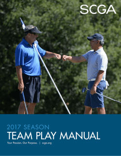 TEAM PLAY MANUAL
