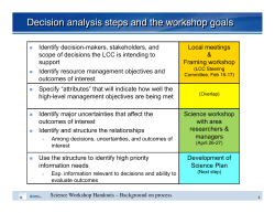 Decision analysis steps and the workshop goals
