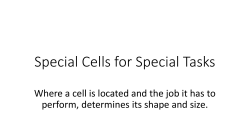 Special Cells for Special Tasks