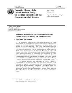 Executive Board of the United Nations Entity for Gender Equality and