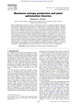 Maximum entropy production and plant optimization theories