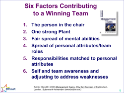 Team Working - Stellar Leadership