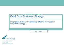 Customer Strategy - Arestan Consulting
