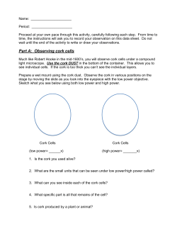 Part A: Observing cork cells
