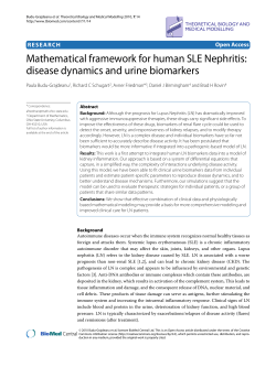 Mathematical framework for human SLE Nephritis