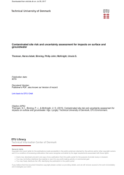 Contaminated site risk and uncertainty assessment for