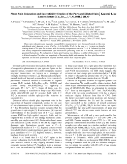 Muon Spin Relaxation and Susceptibility Studies of the Pure and